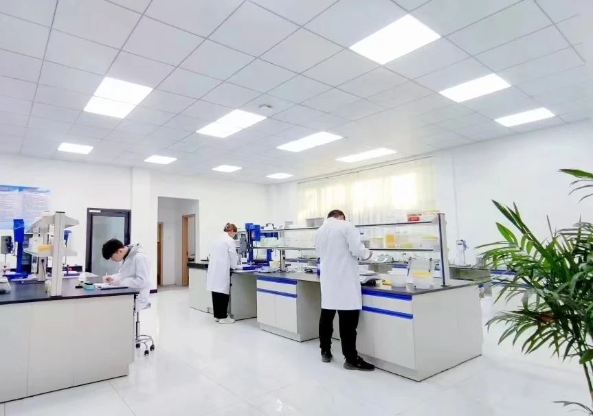 堿克新材|科技賦能終端，共筑行業(yè)標(biāo)桿